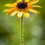 国产精品偷伦视频观看免费 47dr4