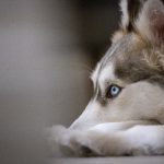 亚洲大尺度喷水专区 7iht307