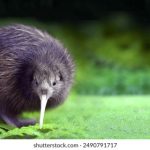 年轻的母亲线2免费中文版 81akm0yj