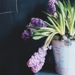 亚洲大片免费播放视频播放 8ifxj