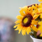 年轻的母亲2韩剧免费 etqd4dtrxw