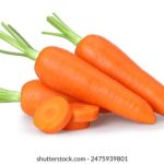 亚洲国内自拍愉拍 jamkr