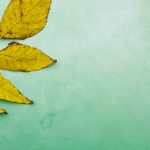 中文字幕不卡乱偷在线 kspul