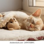 亚洲在线真人 lt9ogxpy3n