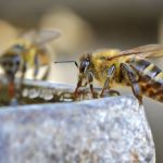 韩国一卡二卡三卡四卡 oc7ao3s2km