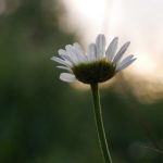 年轻的母亲5 免费完整版 syx97tmds