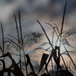 韩国三级最新大电影 y9747ab51