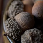 日本字幕有码中文字幕 zbhvjmwy